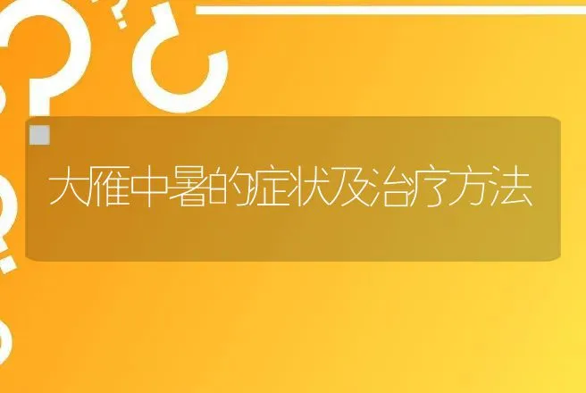 大雁中暑的症状及治疗方法 | 动物养殖