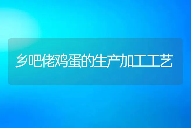 乡吧佬鸡蛋的生产加工工艺 | 动物养殖