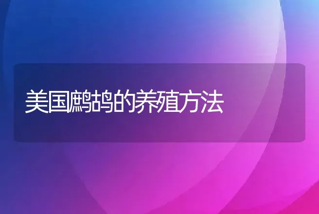 美国鹧鸪的养殖方法 | 动物养殖