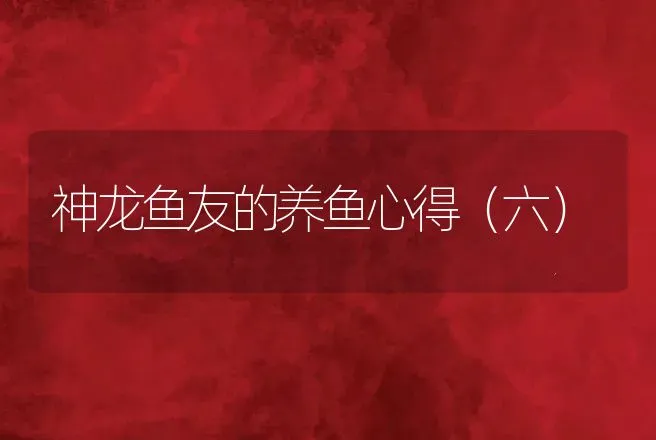 神龙鱼友的养鱼心得（六） | 动物养殖