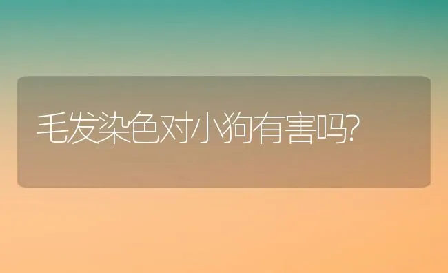 毛发染色对小狗有害吗? | 宠物猫