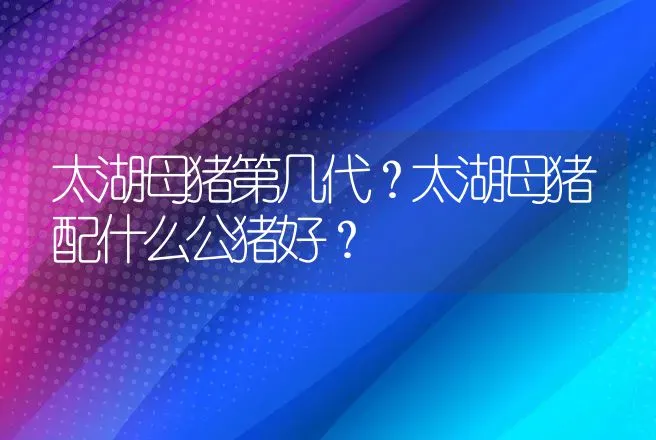 太湖母猪第几代？太湖母猪配什么公猪好？ | 家畜养殖