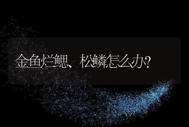 金鱼烂鳃、松鳞怎么办？ | 动物养殖