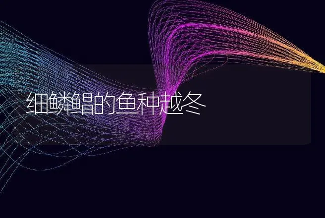 鸽传染病防治技术：鸽支原体病 | 动物养殖