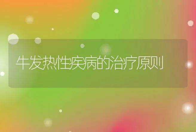 牛发热性疾病的治疗原则 | 动物养殖