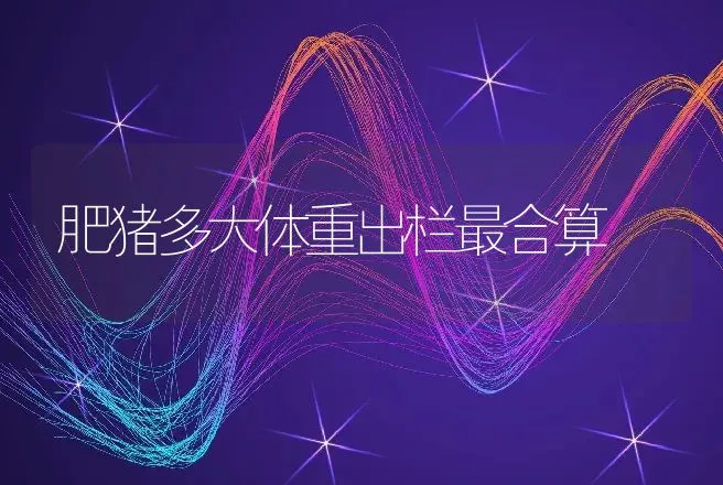 肥猪多大体重出栏最合算 | 动物养殖