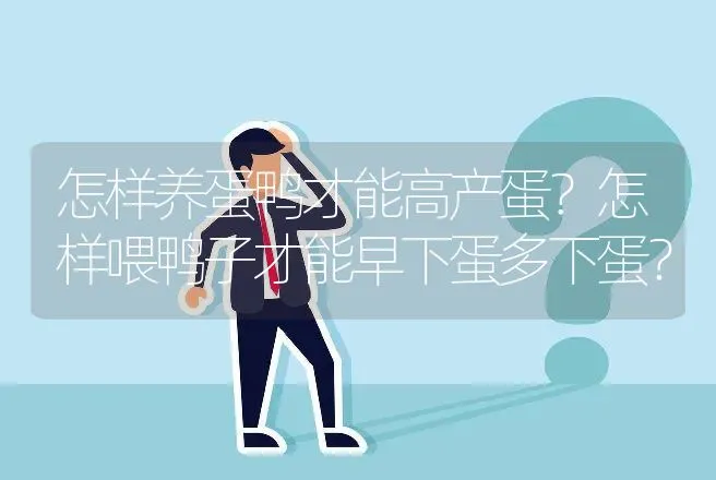 怎样养蛋鸭才能高产蛋？怎样喂鸭子才能早下蛋多下蛋？ | 家禽养殖