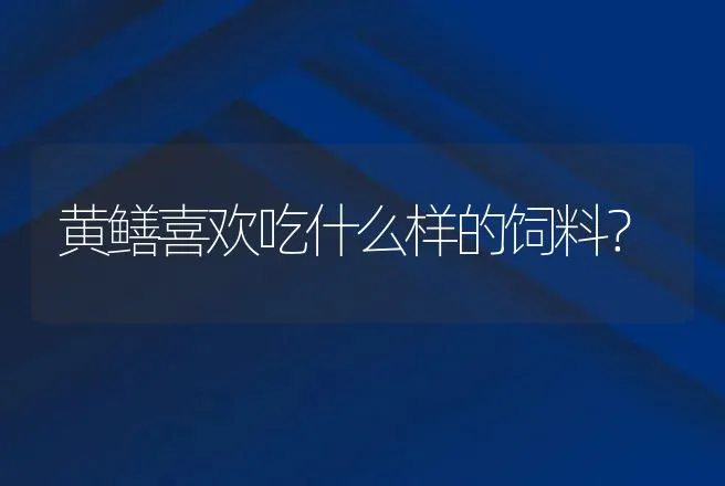 黄鳝喜欢吃什么样的饲料？ | 动物养殖