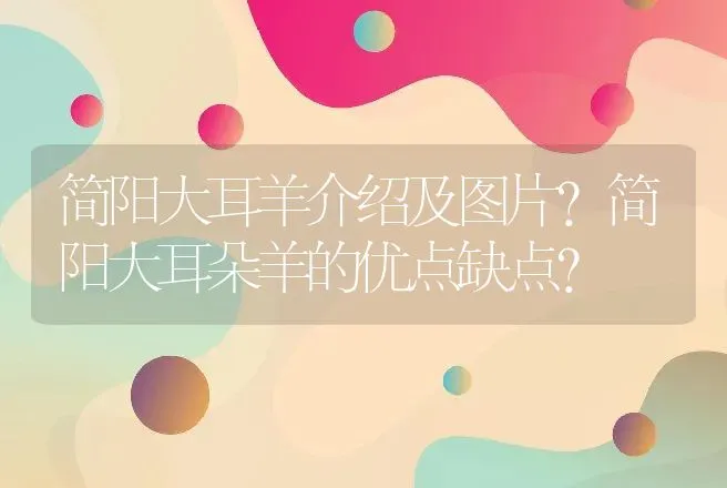 简阳大耳羊介绍及图片？简阳大耳朵羊的优点缺点？ | 动物养殖