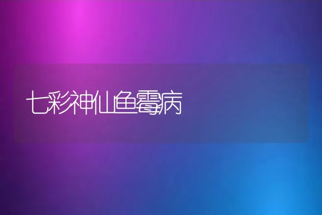 怎样圈怎样圈怎样圈养肉狗(肉犬) 养肉狗(肉犬) | 动物养殖