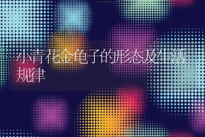 小青花金龟子的形态及生活规律 | 动物养殖