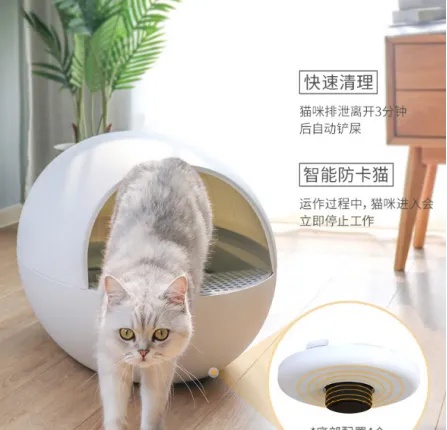 全自动清理猫砂盆哪款好 猫蛋智能猫砂盆推荐 | 宠物新闻资讯