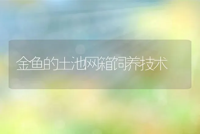 金鱼的土池网箱饲养技术 | 动物养殖