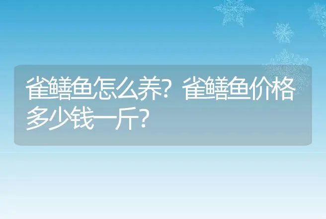 雀鳝鱼怎么养？雀鳝鱼价格多少钱一斤？ | 水产知识