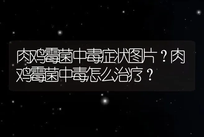 肉鸡霉菌中毒症状图片？肉鸡霉菌中毒怎么治疗？ | 兽医知识大全