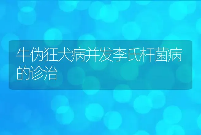 牛伪狂犬病并发李氏杆菌病的诊治 | 家畜养殖