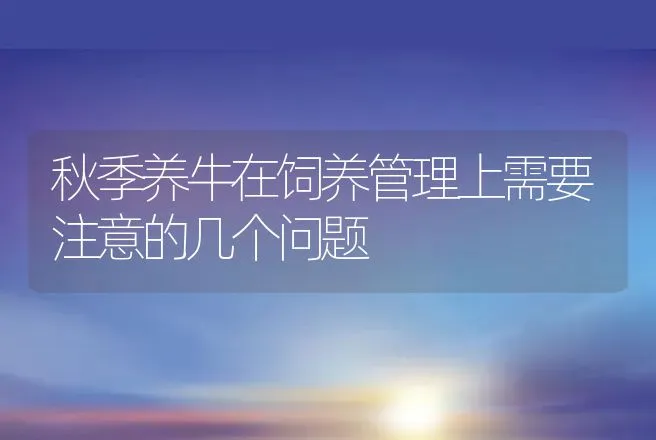 秋季养牛在饲养管理上需要注意的几个问题 | 家畜养殖