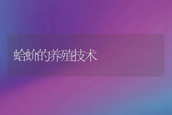 蛤蚧的养殖技术 | 特种养殖