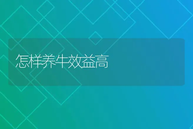 怎样养牛效益高 | 动物养殖