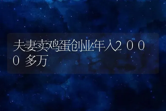 独龙牛是什么牛？养殖户怎样管理好初生的独龙牛？ | 特种养殖