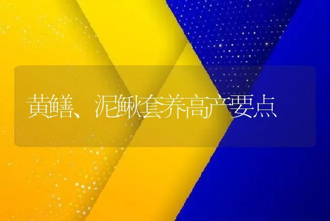 黄鳝、泥鳅套养高产要点 | 动物养殖