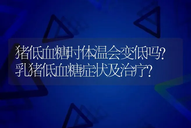 猪低血糖时体温会变低吗？乳猪低血糖症状及治疗？ | 兽医知识大全