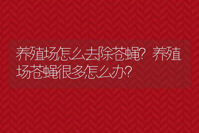 养殖场怎么去除苍蝇？养殖场苍蝇很多怎么办？ | 兽医知识大全