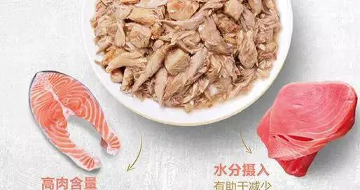 主食罐头，是否是宠物行业新机遇? | 宠物行业洞察