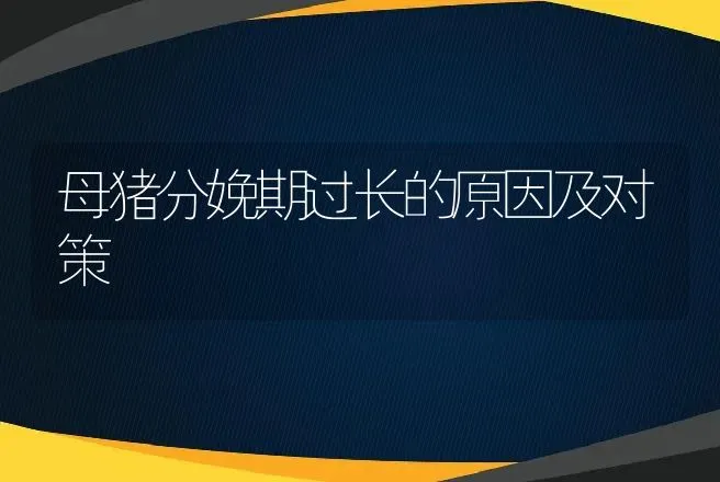 母猪分娩期过长的原因及对策 | 动物养殖