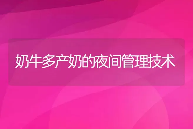 奶牛多产奶的夜间管理技术 | 家畜养殖