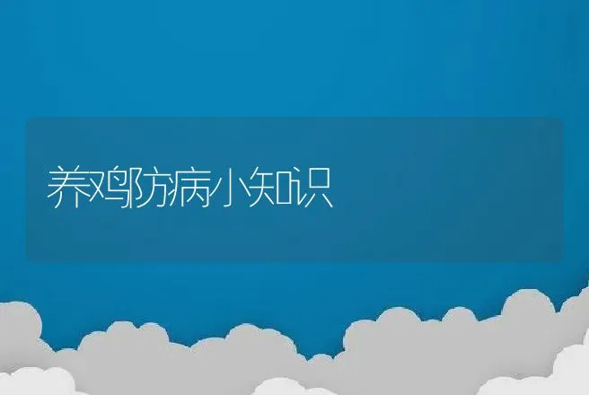 养鸡防病小知识 | 动物养殖