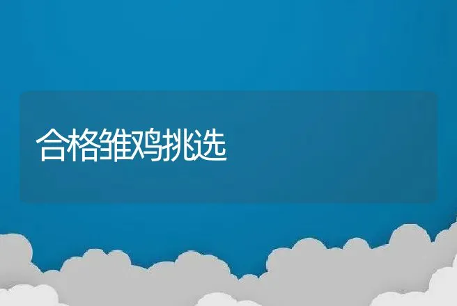 肉牛促长剂的种类及使用方法 | 动物养殖