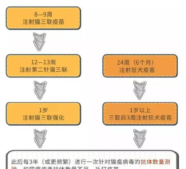 关于犬猫注射疫苗的重要知识 | 宠物狗病虫害防治