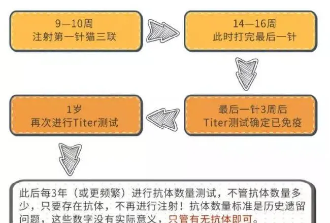 关于犬猫注射疫苗的重要知识 | 宠物狗病虫害防治