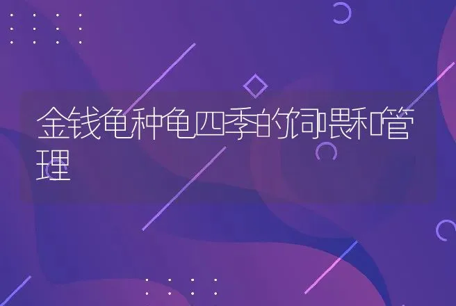 金钱龟种龟四季的饲喂和管理 | 动物养殖