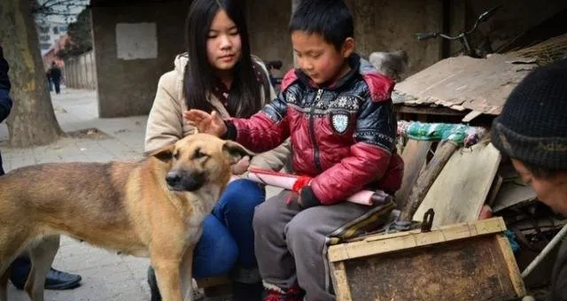 感动十亿人的大狼狗，只应它做这些事情！ | 宠物新闻资讯