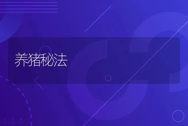 养猪秘法 | 动物养殖