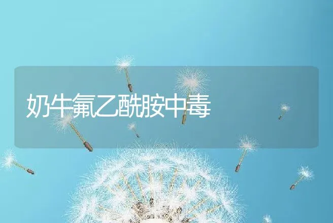 奶牛氟乙酰胺中毒 | 动物养殖