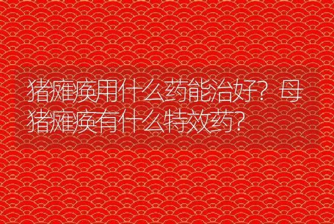 猪瘫痪用什么药能治好？母猪瘫痪有什么特效药？ | 兽医知识大全