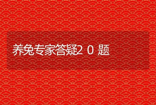 养兔专家答疑20题 | 动物养殖