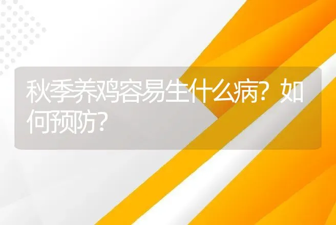 秋季养鸡容易生什么病？如何预防？ | 兽医知识大全