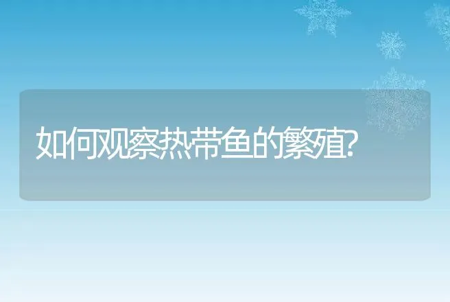 如何观察热带鱼的繁殖? | 动物养殖