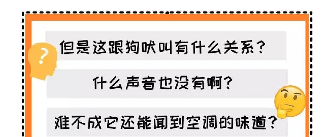 好吓人！我的狗为什么总是冲着空地叫！？ | 宠物狗饲养