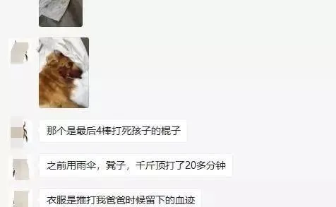 母女被四恶犬围攻，母亲被咬失血至休克 | 宠物新闻资讯