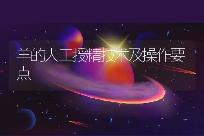 羊的人工授精技术及操作要点 | 动物养殖