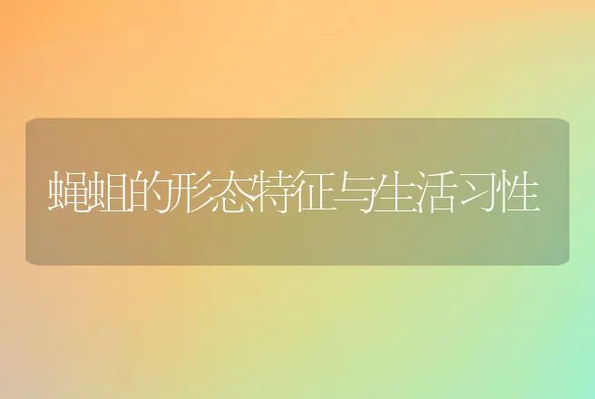 蝇蛆的形态特征与生活习性 | 动物养殖