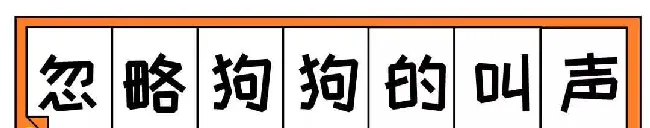 好吓人！我的狗为什么总是冲着空地叫！？ | 宠物狗饲养