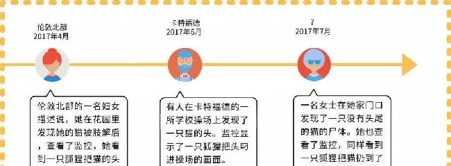 4年杀500只猫，并残忍分尸，政府花费125万捉拿真凶.... | 宠物新闻资讯