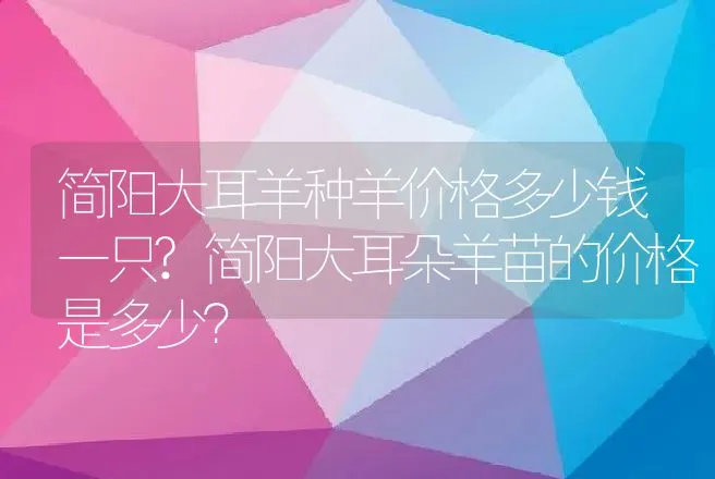 简阳大耳羊种羊价格多少钱一只?简阳大耳朵羊苗的价格是多少？ | 动物养殖