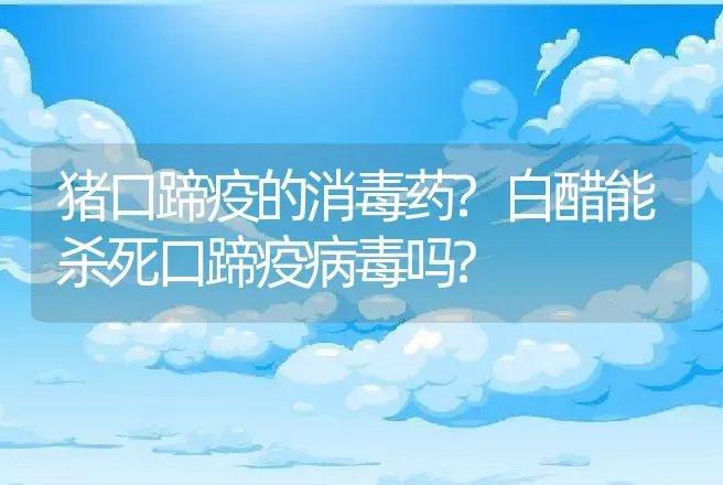 猪口蹄疫的消毒药?白醋能杀死口蹄疫病毒吗? | 兽医知识大全